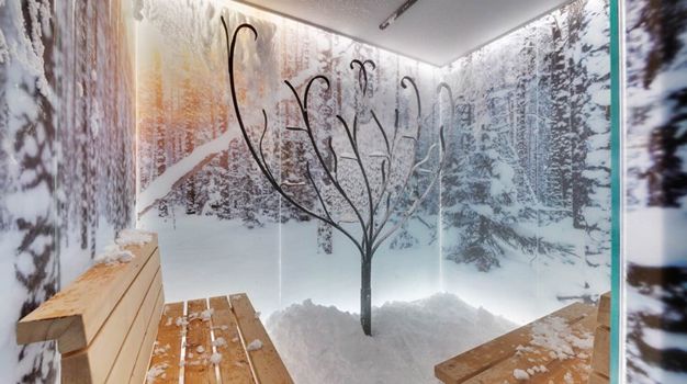 Aurea Spa снеговая комната